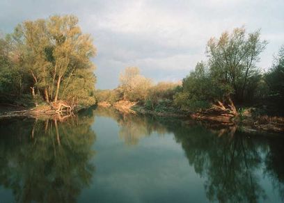 ja © Nationalpark Donau–Auen GmbH