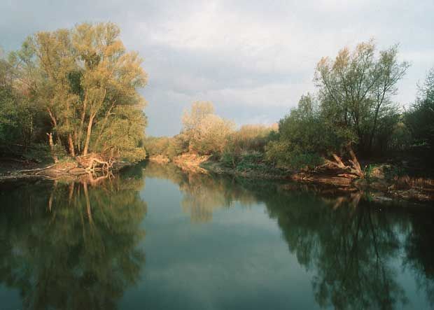 ja © Nationalpark Donau–Auen GmbH