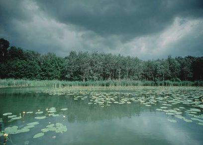 ja © Nationalpark Donau–Auen GmbH