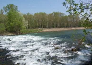 WasserschutzTraisen.jpg.jpg