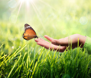 ©  RFsole – Fotolia.com/ Durch Nachhaltigkeit wird die Umwelt geschützt – Viele Unternehmen haben diesen Gedanken bereits in ihre Philosophie aufgenommen und tragen aktiv zu dem Schutz bei