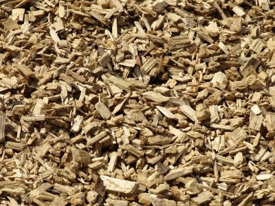 © Maria Lanznaster-pixelio.de