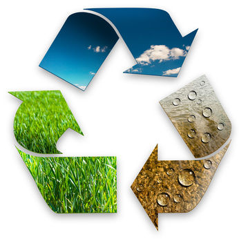 © Fotolia– ferkelraggae