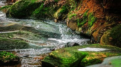 © StockSnap