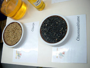 ja © Christian Almeder