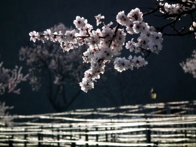 © Bernd Bast / pixelio.de