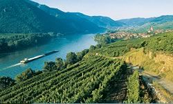 © Arbeitskreis Wachau