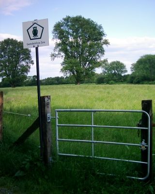 © Jiry –pixelio.de