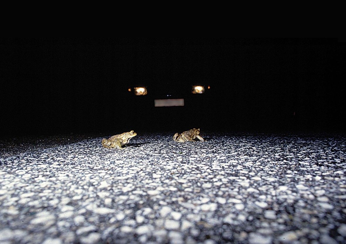 © hofrichter