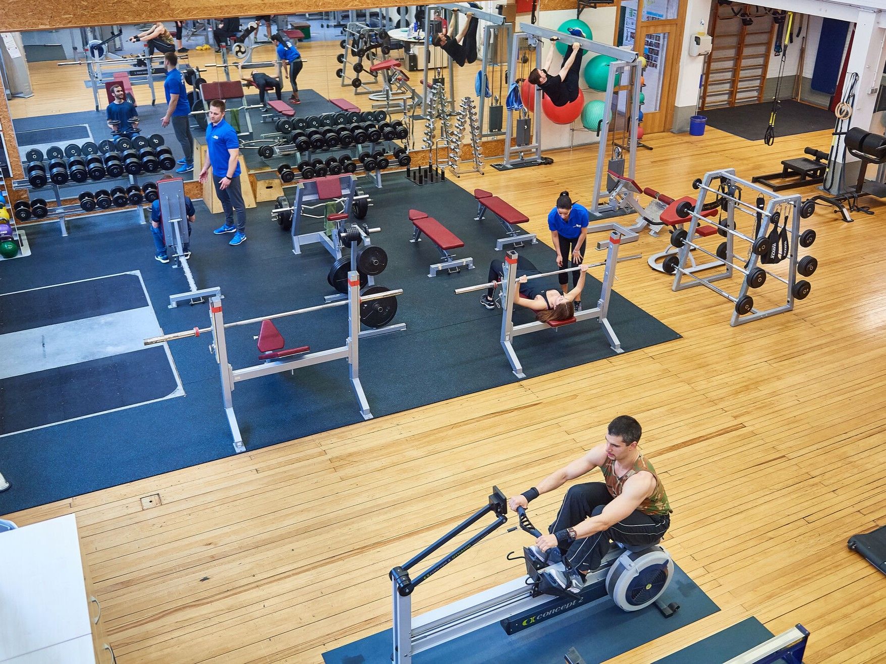 © Volker Lannert / Universität Bonn / Krafttraining aktiviert die zelluläre Müllabfuhr, was unverzichtbar ist, um die Muskulatur langfristig zu erhalten.