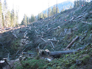 ja © Umweltdachverband – www.umweltdachverband.at