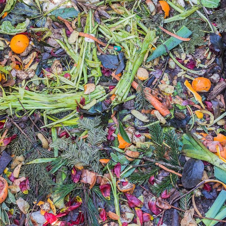 © meineresterampe– pixabay.com / Aus Biomüll wird später Erde