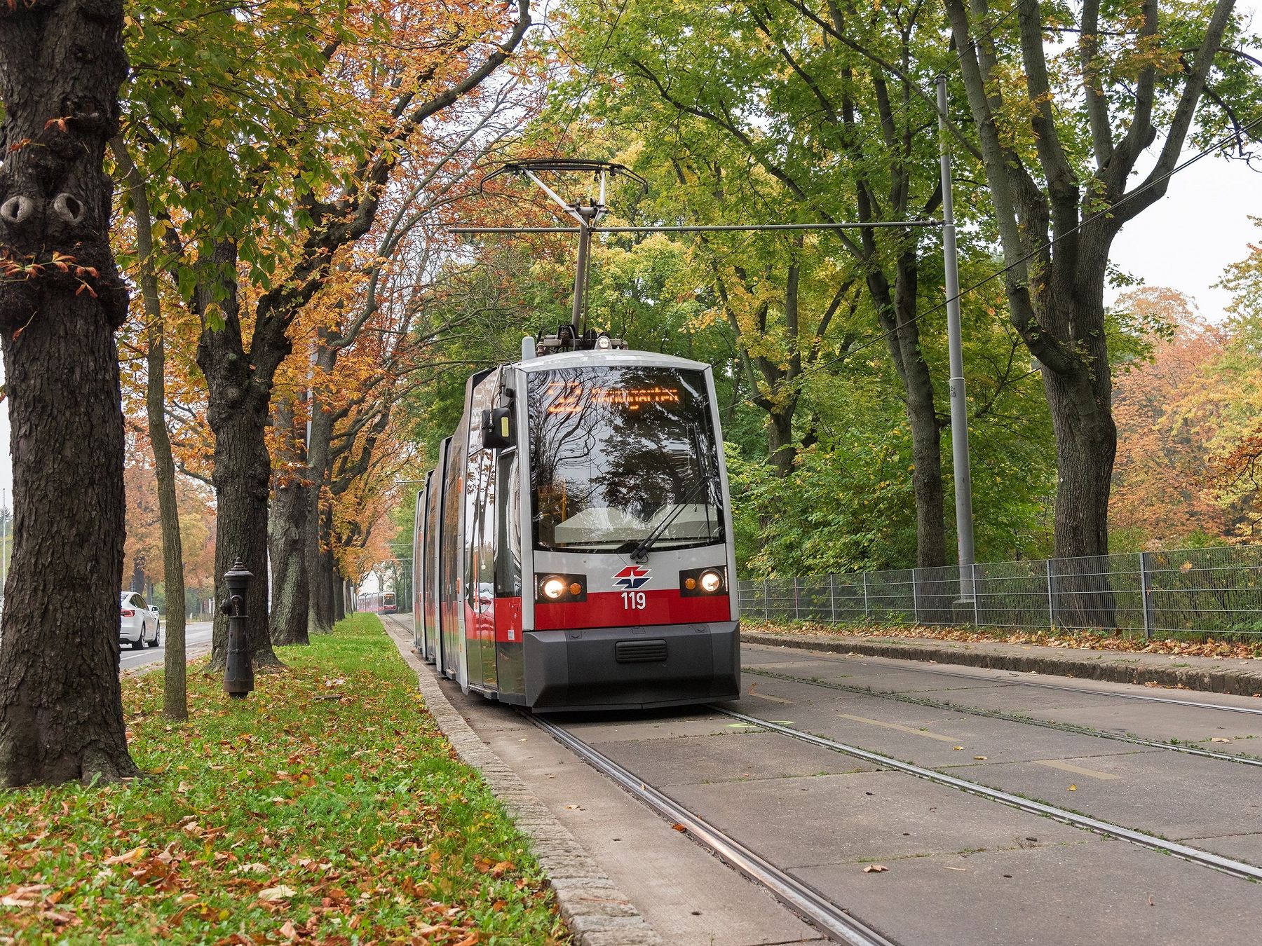 StraßenbahnTram.jpg
