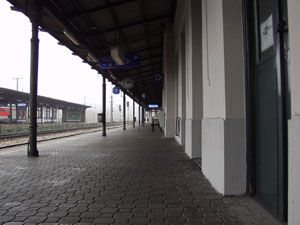 ja © Michael Sigmund