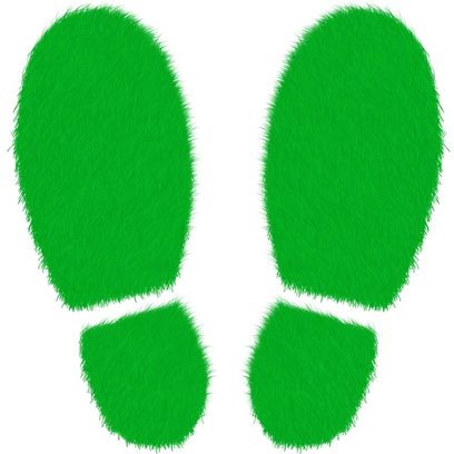 © ElisaRiva – pixabay.com