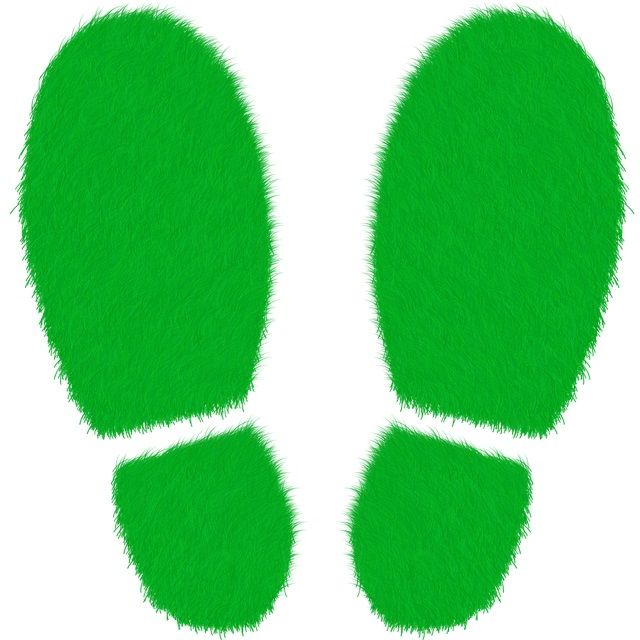 © ElisaRiva – pixabay.com