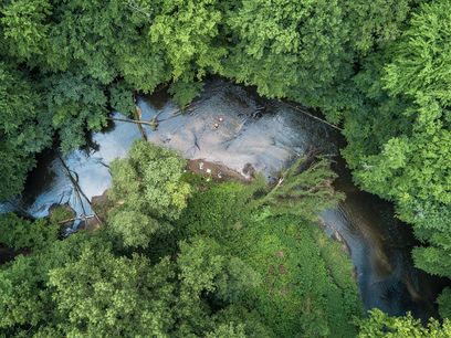 © Marc–Robert Lehmann /Die Wasserqualität der Flüsse aus 23 Ländern Europas hat sich verbessert – ein guter ökologischer Zustand wurde aber nicht erreicht. © Marc–Robert Lehmann /Die Wasserqualität der Flüsse aus 23 Ländern Europas hat sich verbessert – ein guter ökologischer Zustand wurde aber nicht erreicht.