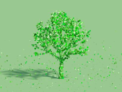 ©  政徳 吉田 auf Pixabay