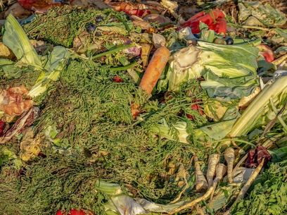 KompostBiomüll.jpg.jpg