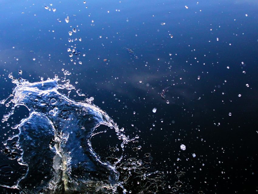 pexels-igorwfaoro-Wasser.jpg