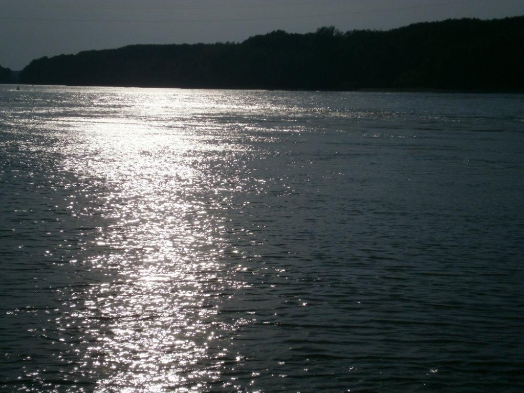 © oekonews- Donau unterhalb Wiens