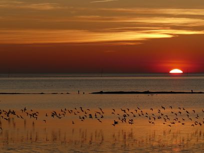 wattenmeer0.jpg.jpg