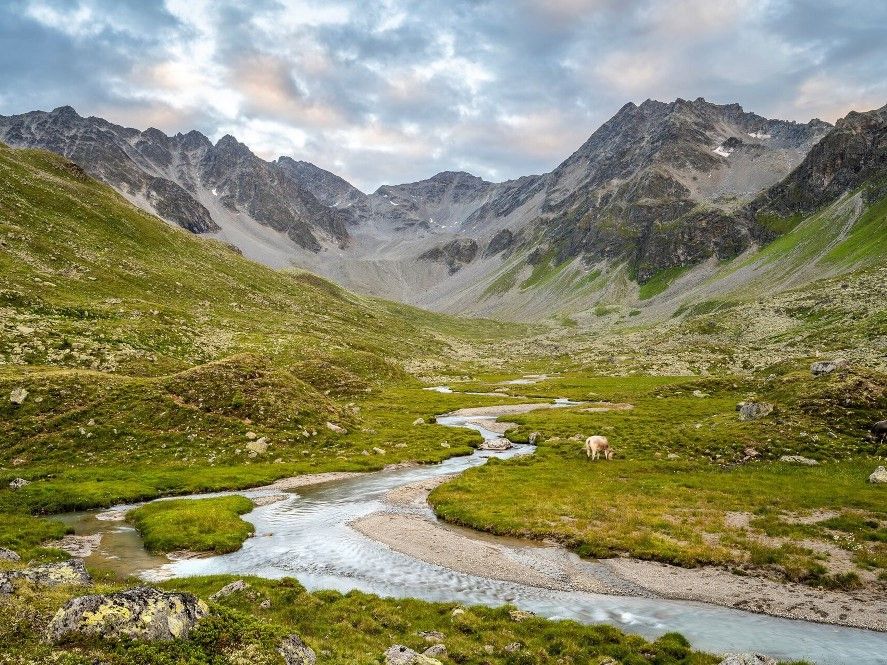 © Sebastian Frölich, WWF Österreich / Im entlegenen Platzertal/A ist ein Staudamm geplant.