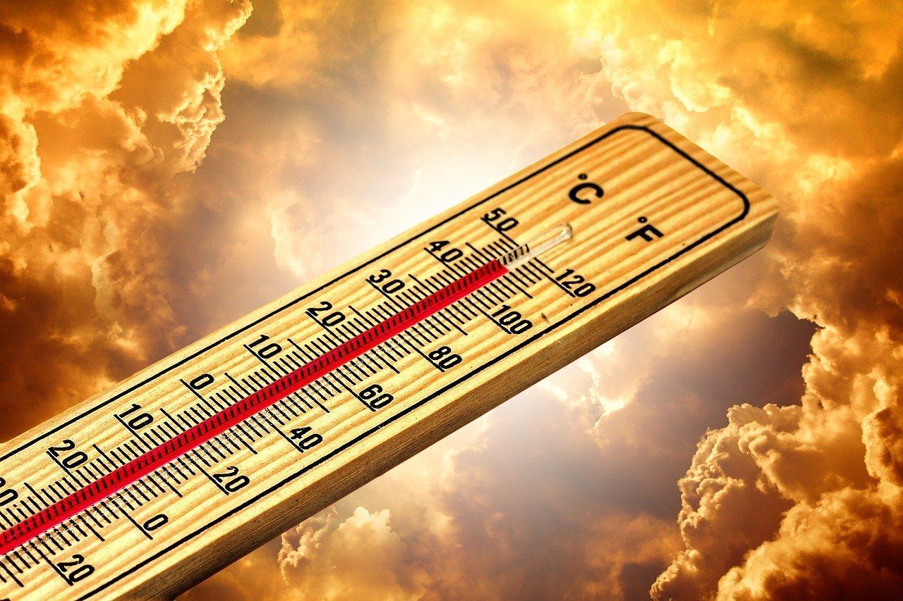 Die Temperaturen steigen .jpg