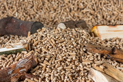 pellet-8534567 1920.jpg