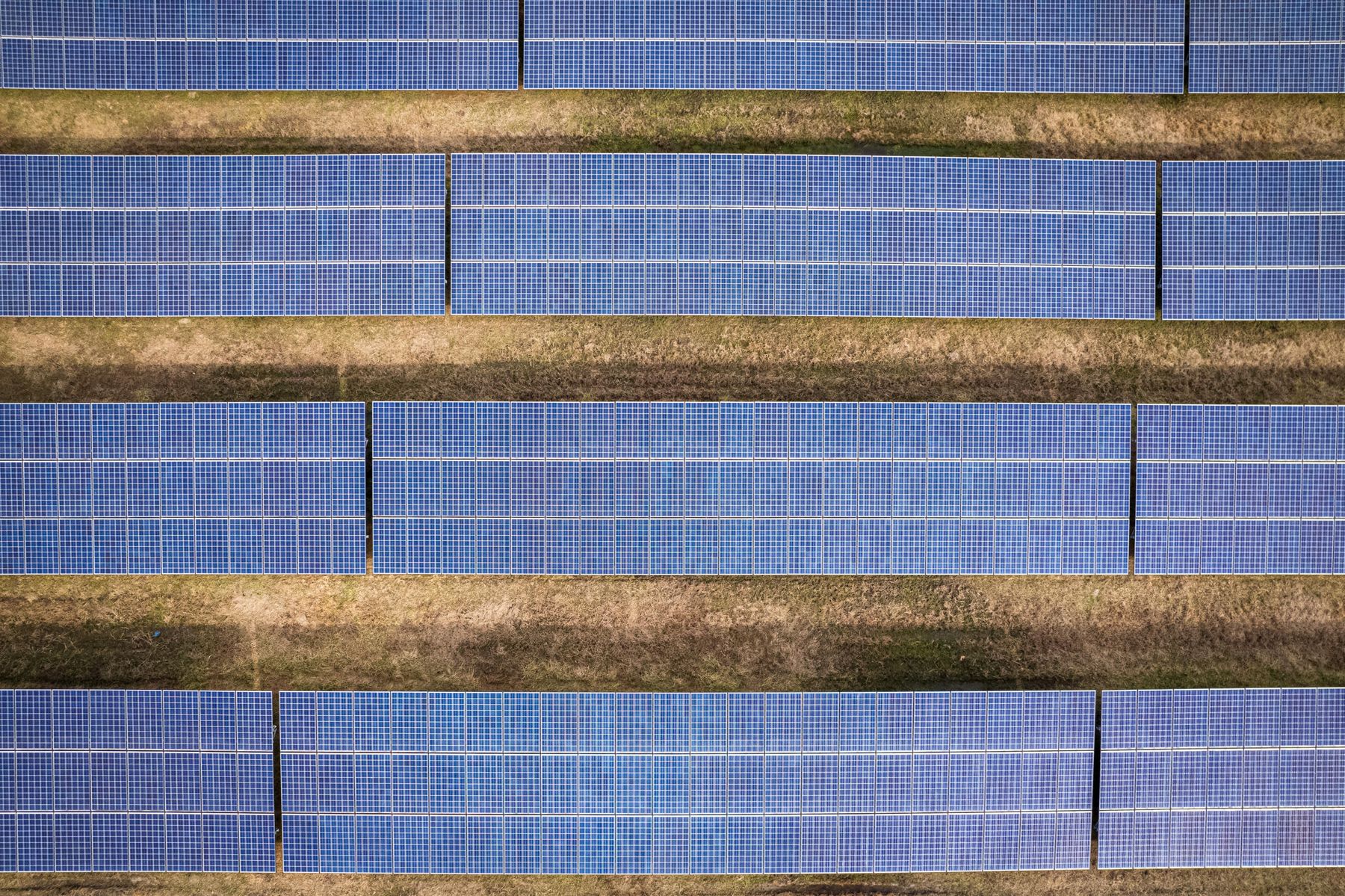pexels-PV-mark-stebnicki.jpg