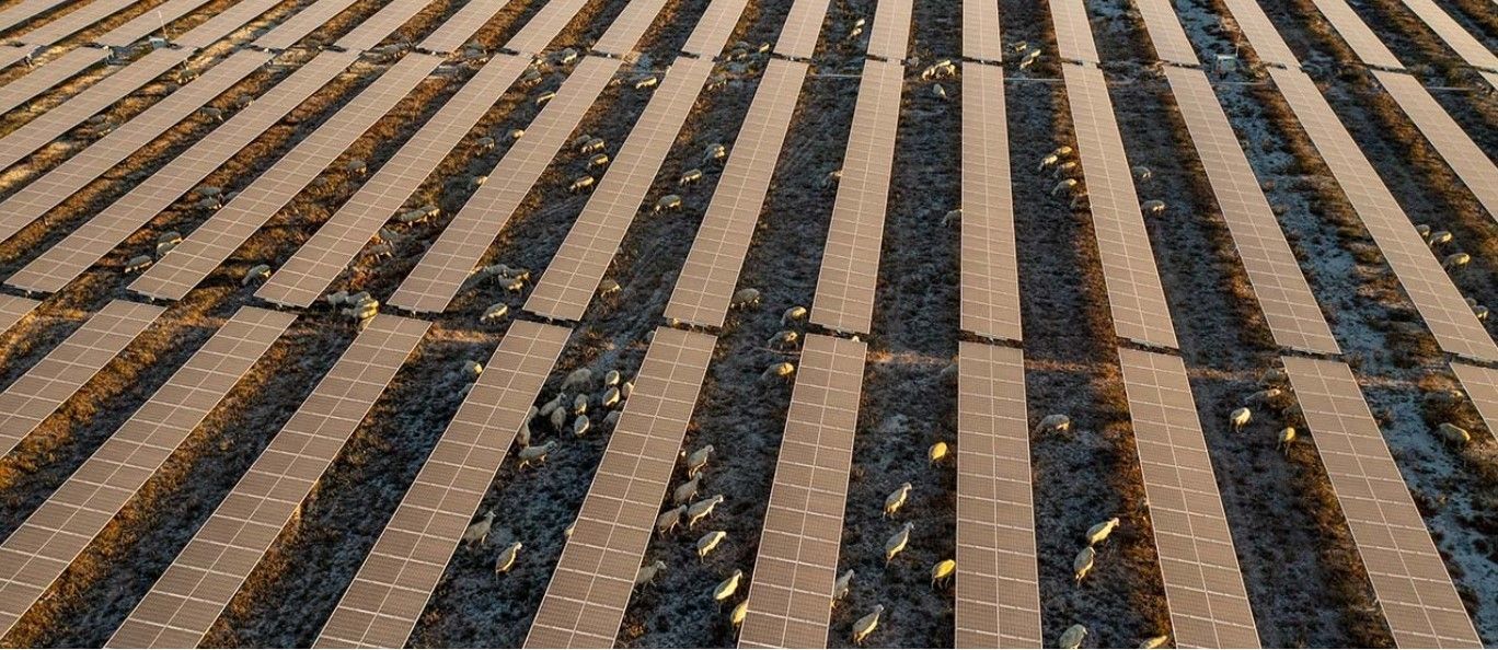KalyonSolarkraftwerk.jpg