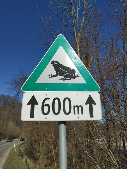 Amphibienwanderung.jpg