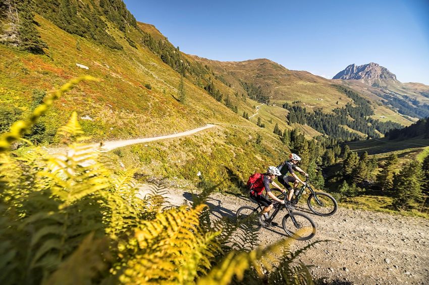 den sommer hautnah erleben wildkogel arena neukirchen bramberg.jpg