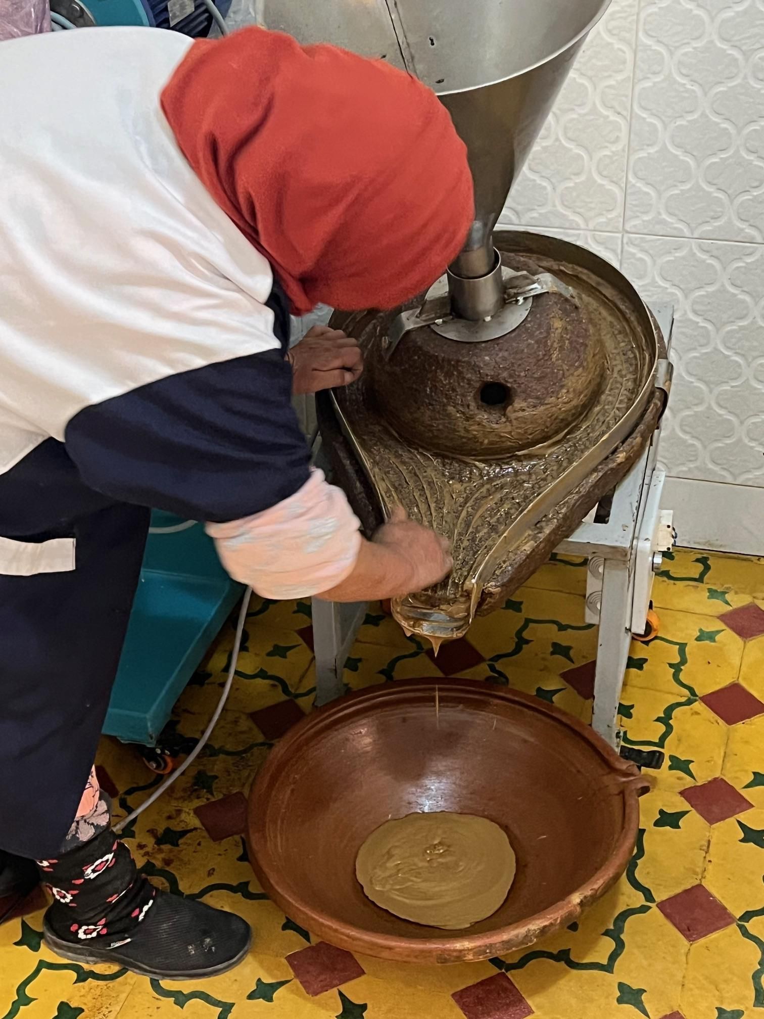 01 Argan Marokko Wald BOKU.jpg