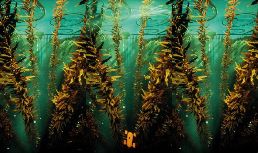 SuperfluxSEA.jpg SuperfluxSEA.jpg