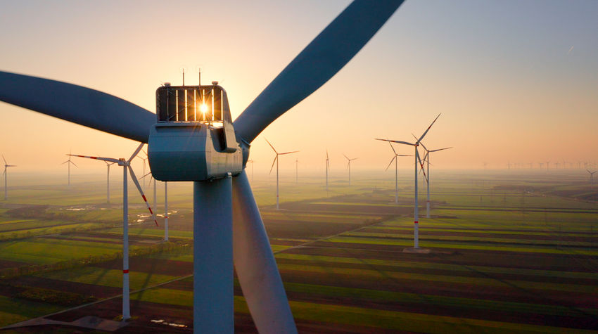 OBS 20250317 OBS0007.jpg