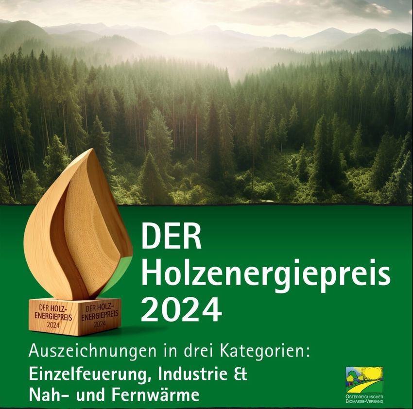 Cover-Holzenergiepreis 2024 Broschuere.jpg