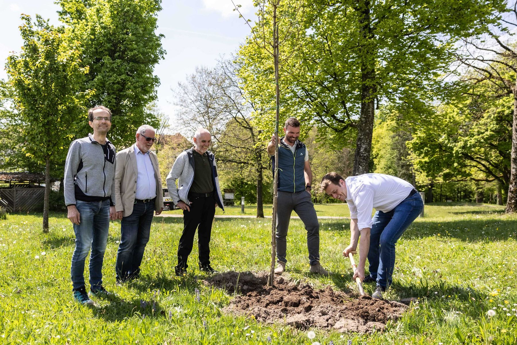 baumplfanzen.jpg