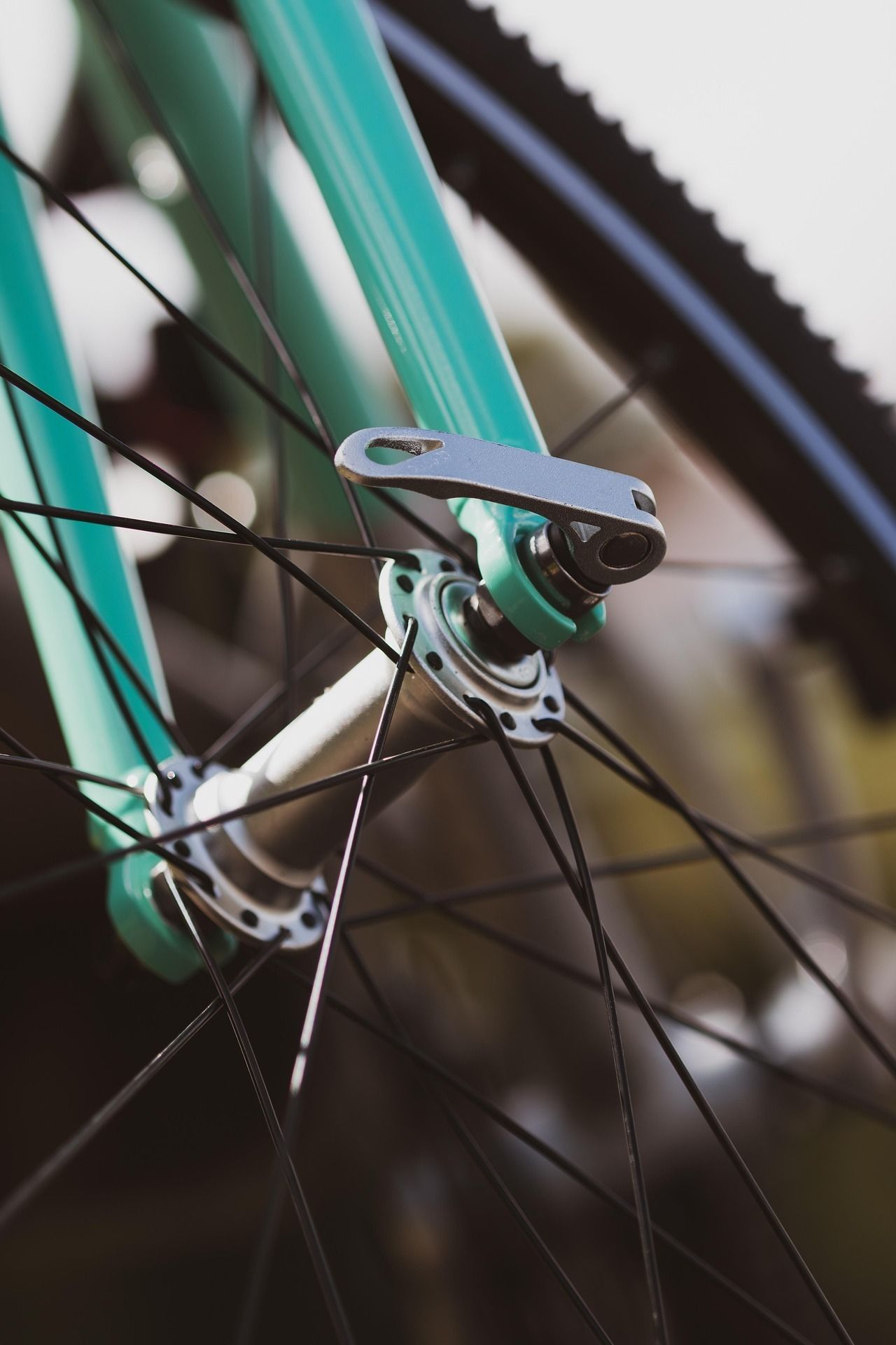 bicycle-Radfahren.jpg
