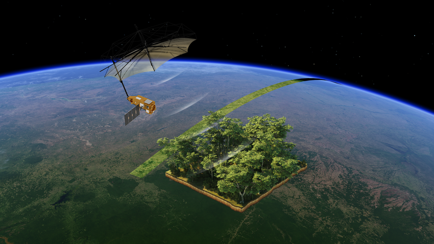 Seeing the wood through the trees article.png