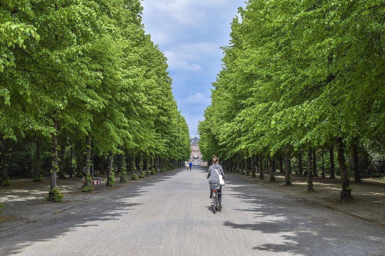 avenue-5314089 1280.jpg