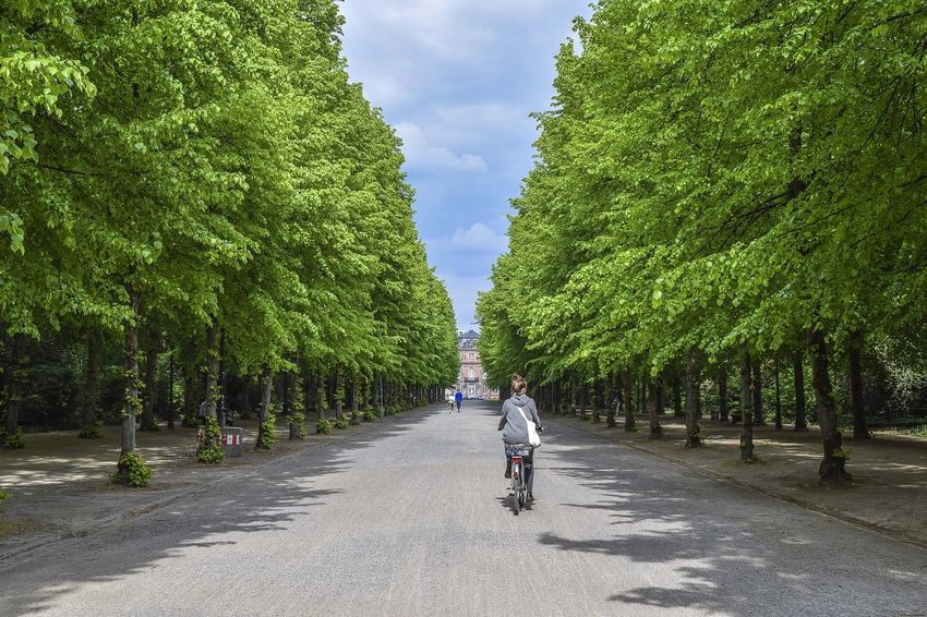 avenue-5314089 1280.jpg