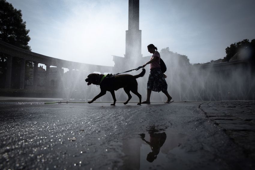 Hitze © Mitja Kobal Greenpeace.jpg