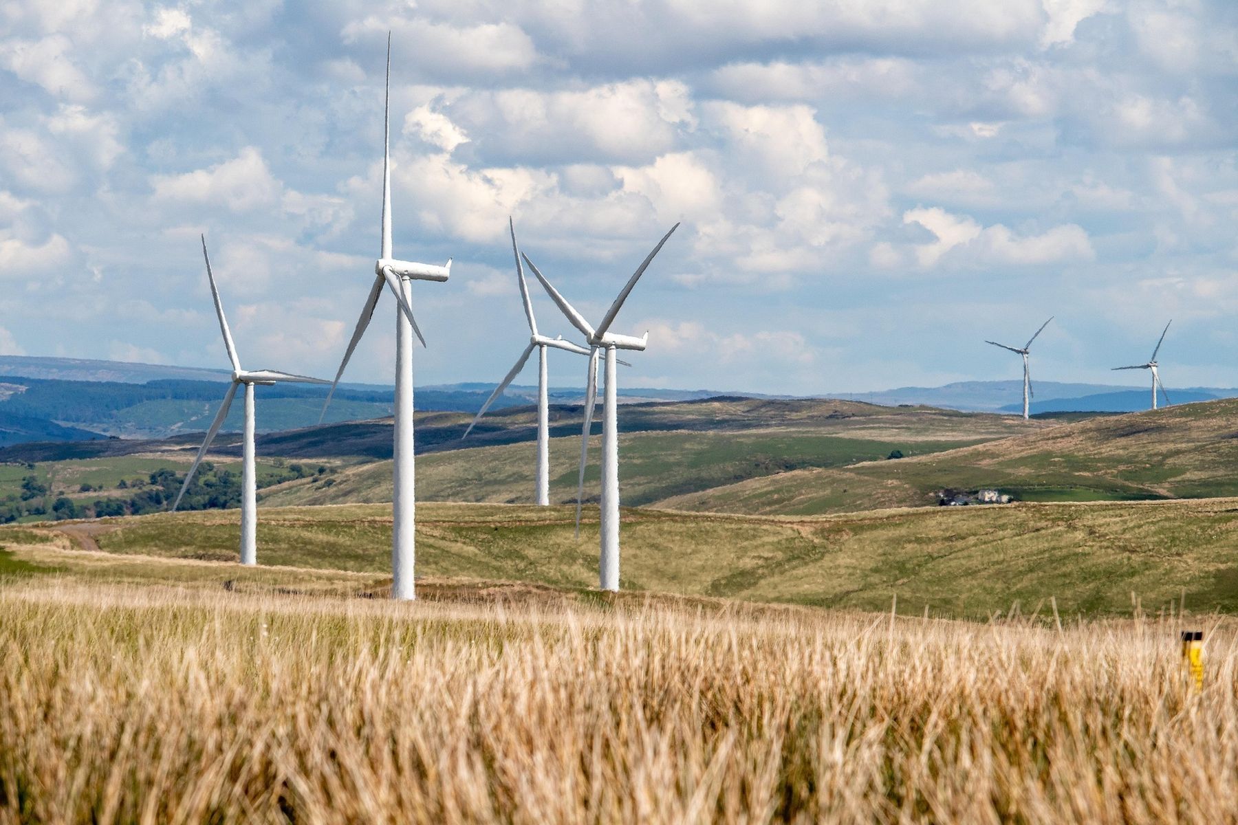 windkraftwindrad.jpg