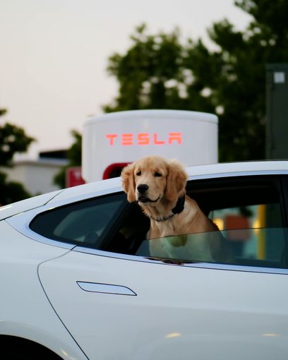 pexels-apex-jade-elektroauto.jpg