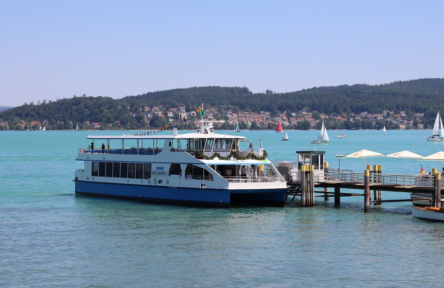 MSMAINAU.jpg