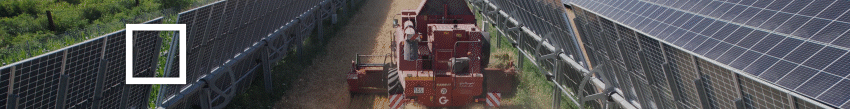 EWSBanner