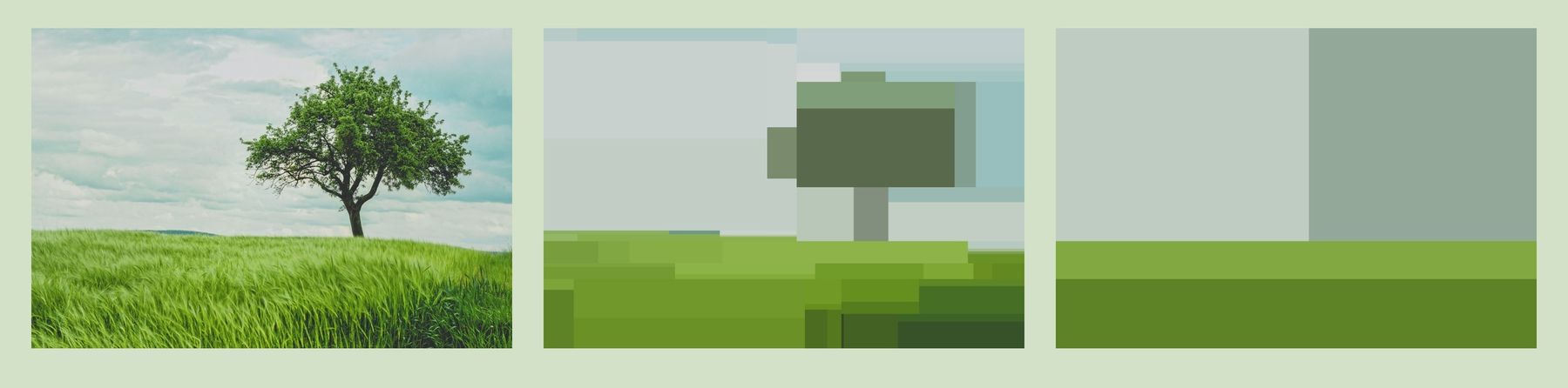 Decision Tree Reversed.jpg
