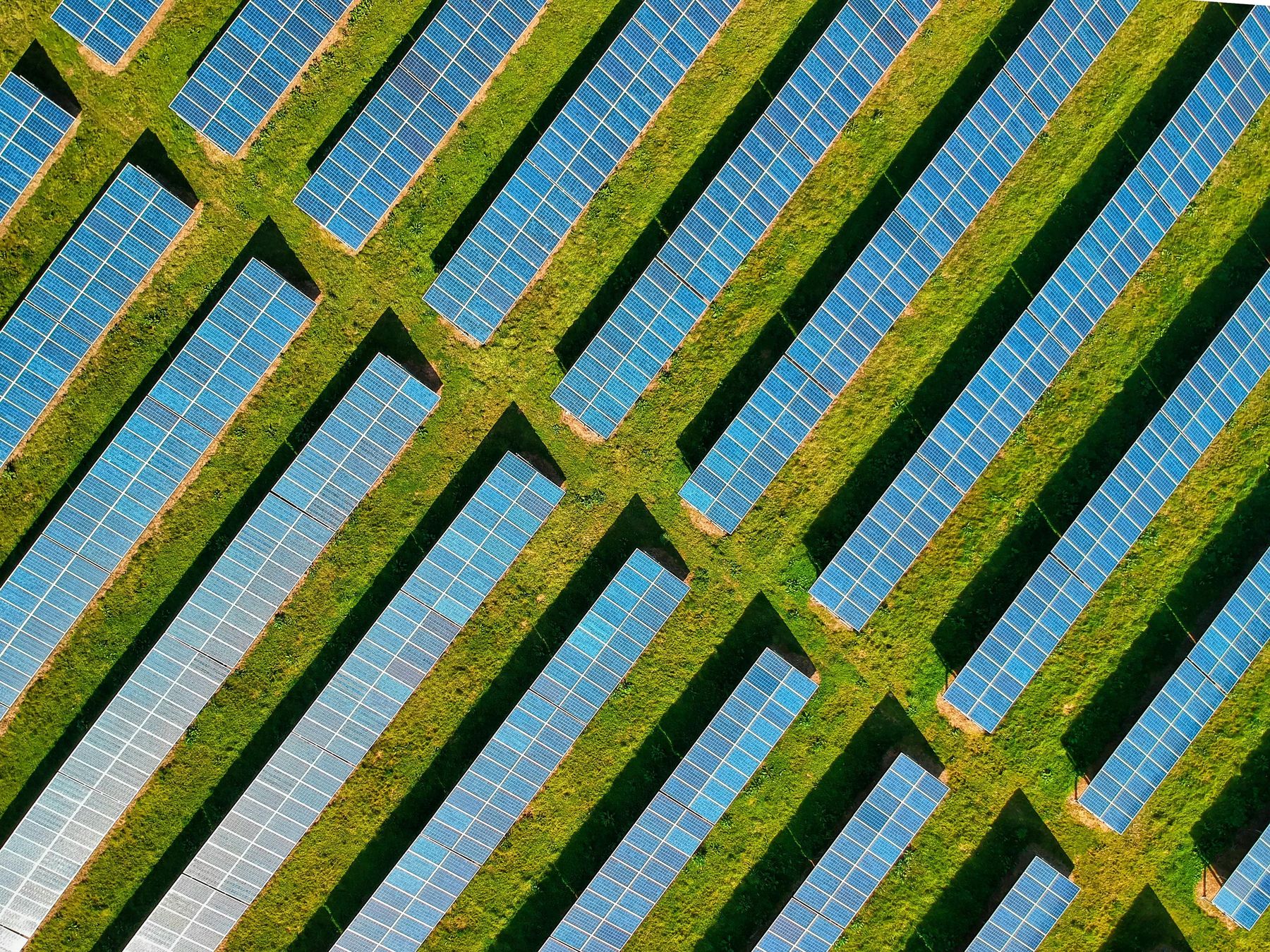 pexels-red-zeppelin-PhotovoltaikPV.jpg