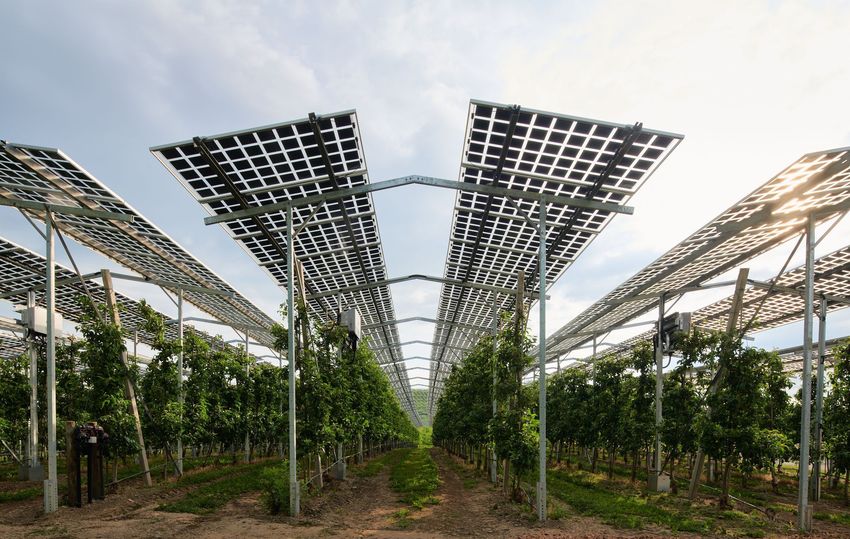 ISE-5387 2022 05 13 Agri-PV-Kressbronn ISE 001 Ausschnitt-original.jpg ISE-5387 2022 05 13 Agri-PV-Kressbronn ISE 001 Ausschnitt-original.jpg